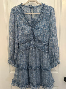 91. Blue Leopard LS Dress Size M (VGUC)