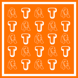Tennessee Bandana Gameday Scarf (3 PRINTS AVAILABLE)